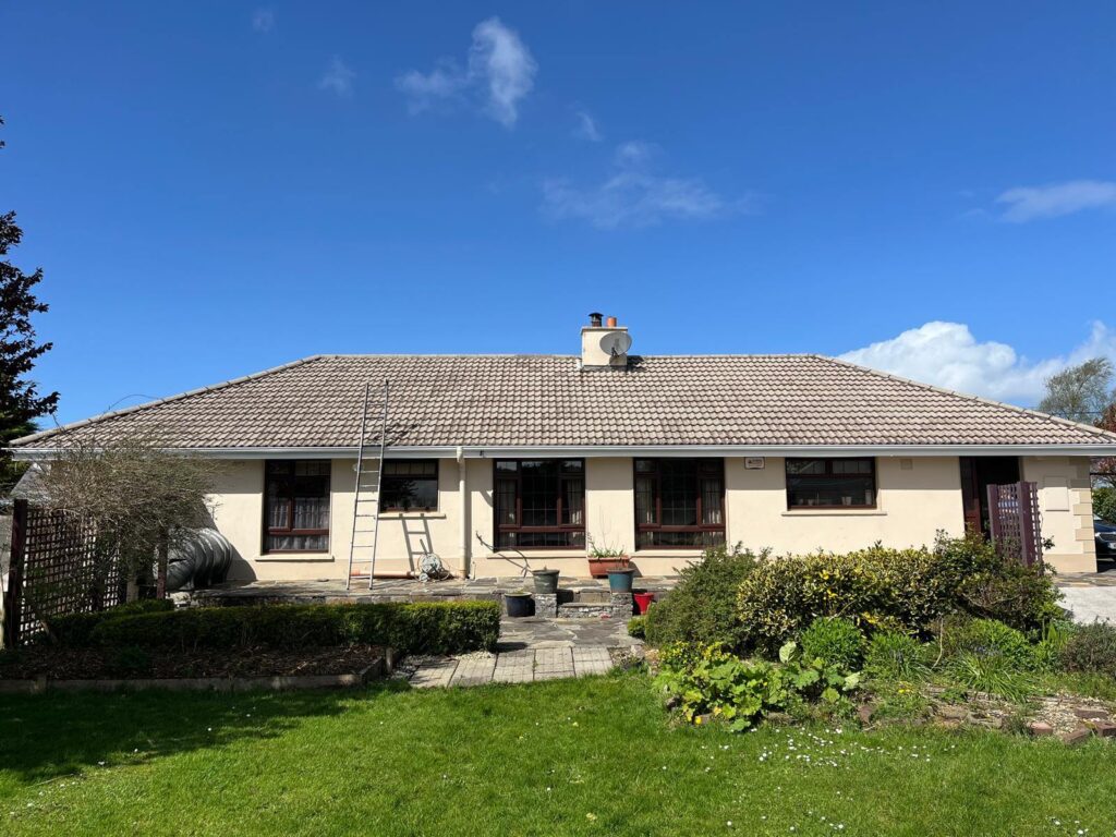 Roof Cleaning