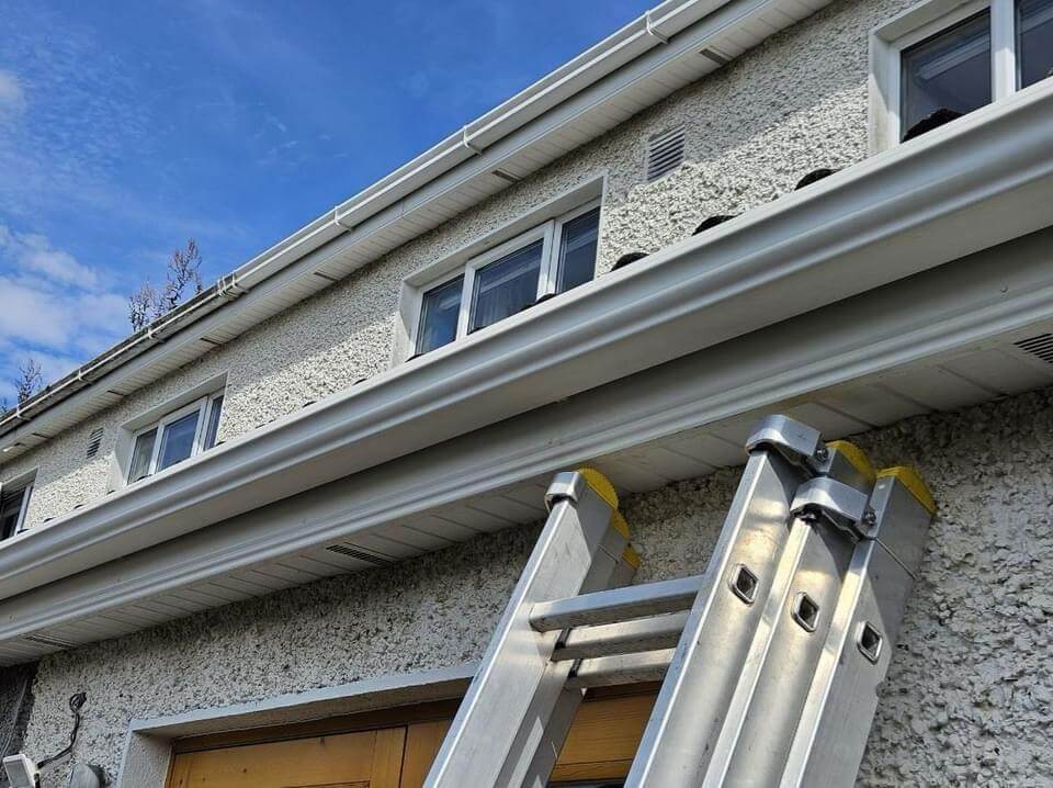 Gutter Cleaning